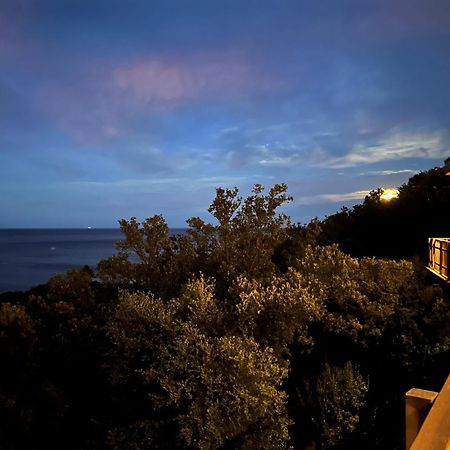 Villa L'Alpana En Bois Vue Mer A 180 Degres Сари-Соленцара Экстерьер фото
